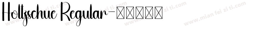 Holtzschue Regular字体转换